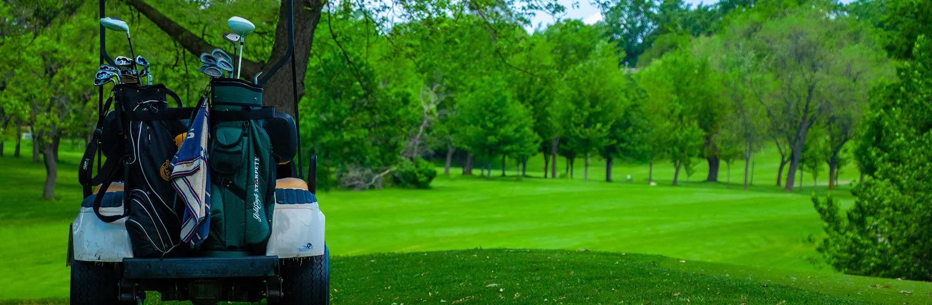 golf course with golf cart near tree